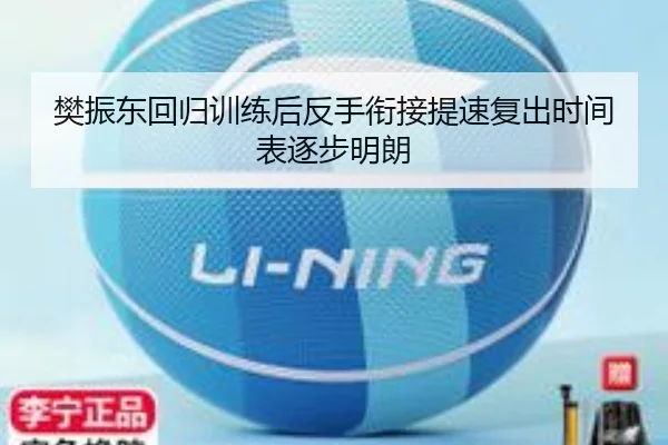樊振东回归训练后反手衔接提速复出时间表逐步明朗